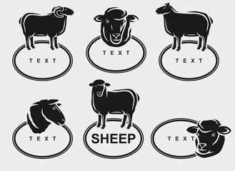 Sheep labels and icon set. Collection icons sheep. Vector