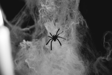 Halloween composition with spider on black grunge background
