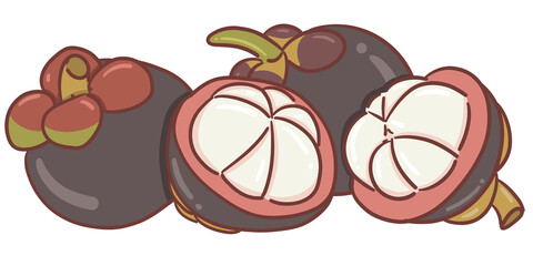 illustration of mangosteen