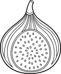 Simple line drawing of a fig half with seeds and stem perfect for food botanical art coloring and healthy fruit illustration projects