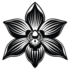 Elegant Orchid Detailed Vector Illustration of a Single Black and White Flower for Graphic Design Projects