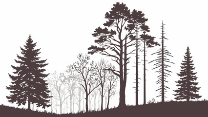 Isolated bare black trees in a winter forest create a stark silhouette against the white snow and cold sky