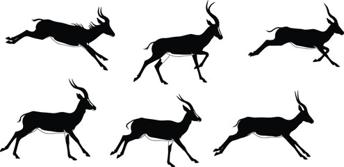 Antelope silhouette vector set with running and leaping poses for wildlife, nature, animal motion, speed, anatomy, and stock illustration