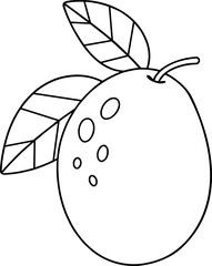 Simple outline drawing of a feijoa with leaves and texture perfect for botanical sketches fruit coloring and organic design projects