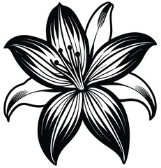 Elegant Black and White Lily Flower Outline A Detailed Artistic Depiction of Lilium Longiflorum, Perfect for Design and Decoration, Offering a Timeless Floral Aesthetic