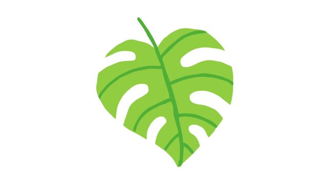 Animated green monstera leaf moving gently in tropical summer style.
