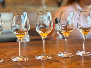 Wine Tasting Glasses on Wooden Table in Restaurant