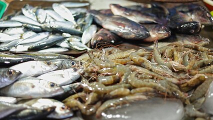 Exotic squid shrimp display pan fusion cuisine market, display highlights fresh seafood row for recipes with vibrant variety, colorful ingredient scene, cuisine moment, perfect cooking tutorials.