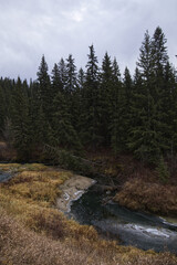 Cold, Cloudy Autumn Day at Whitemud Park