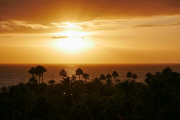 Sunset Over La Gomera island. View from Tenerife with Dramatic Clouds and Silhouetted Palms