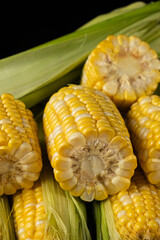 Close-up pile of fresh ripe corn cobs.