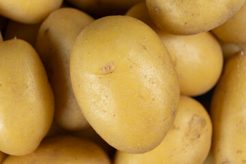 Organic Unpeeled Potatoes Macro, Healthy Raw Vegetable Background.