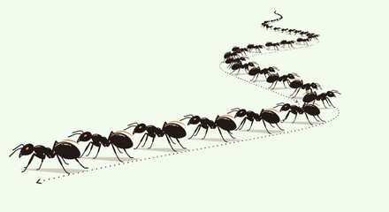 Fototapeta premium Ant trail isolated on white background, a symbol of teamwork and persistence