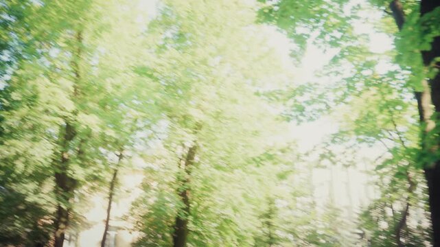 Active woman jogging through green park on sunny day