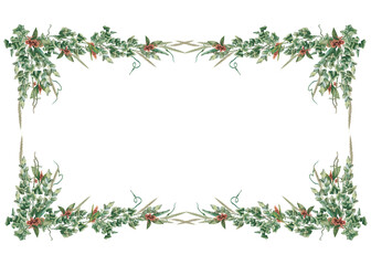 Watercolor illustration of a floral frame. Leaves and branches of ivy and eucalyptus with ears of wheat and red skimia berries. Horizontal frame for printing invitations, business cards, and packaging