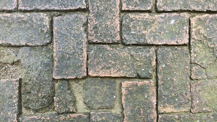 The old brick floor in the garden is damp and stained, has cracks, and is a walkway in the coffee shop. The texture of the brick floor.