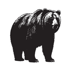 Obraz premium Black silhouette of a grizzly bear standing facing forward