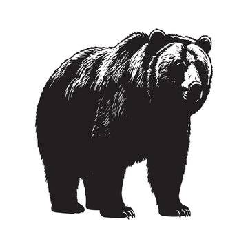 Black silhouette of a grizzly bear standing facing forward