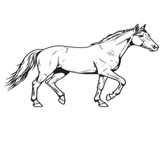 Line Art of a Horse in Full Stride equine animal