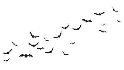 Obraz premium A flock of bats flying in formation against a white background