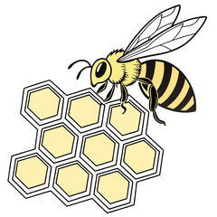 Bee on honeycomb, vector illustration design
