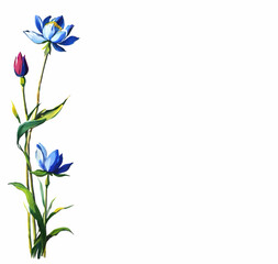 blue flower and rose bud decorative border element with white area for insertion