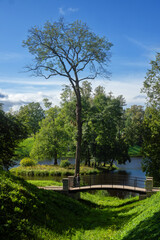 ORANIENBAUM, RUSSIA – AUGUST 24, 2025. An 18th-century palace and park complex on the shores of the Gulf of Finland.