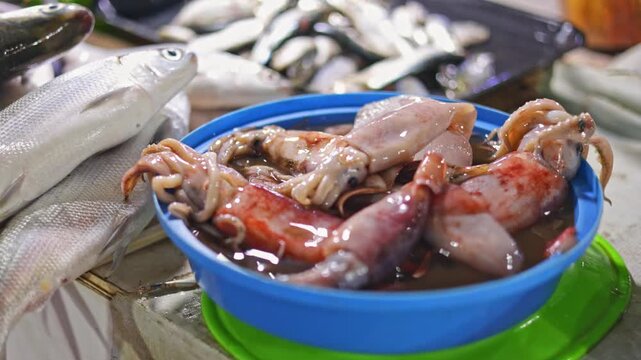 Pan on squid display followed by small fish market row, display shows fresh seafood row with nutrient boost variety, vibrant fish assortment scene, meal moment, suitable wellness nutrition ads.