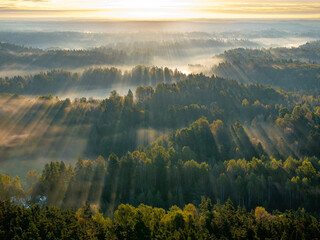 Sunrise with sunrays over the forest