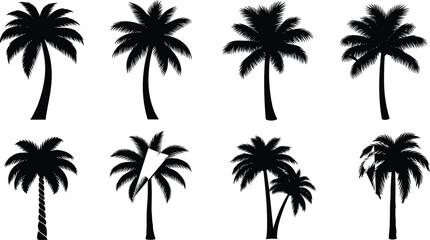 Palm Tree Silhouette Pack with Unique Trunk Styles, Leaf Variations, Tropical Vector Icons for Nature, Landscape, Beach, and Design Themes