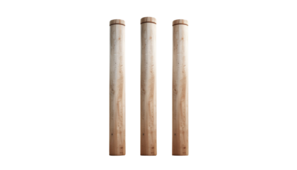 Professional Cricket Stumps and Bails Set Isolated on Clear Background

Wooden Cricket Wickets with Bails Standing on Field PNG