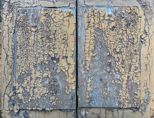 Close-up of two wooden panels with peeling yellow paint revealing blue wood beneath, showcasing weathered texture and natural decay.
