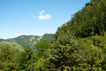 Picturesque forests of the Alps and blue sky, space for text, postcard or puzzle.