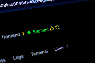 Software application development interface displays Running status with a warning sign, highlighting active digital system operations, technical issues, and debugging processes