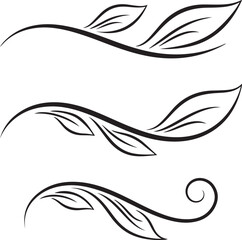 Fototapeta premium Elegant black and white floral and leaf decorative flourishes vine swirl