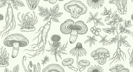 A vintage seamless pattern featuring hand-drawn medicinal mushrooms and adaptogenic herbs like ginseng and reishi in an engraved style