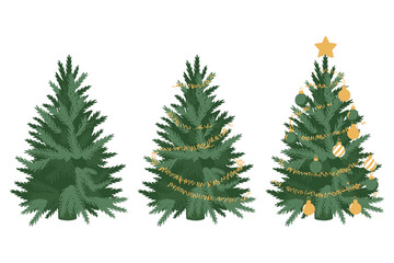 Three christmas trees displaying different levels of festive decoration and growth isolated on white background