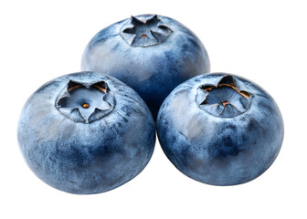 Three ripe blueberries with detailed texture against a black background blueberry fruit