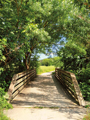 Wooden bridge in a wooded area of ​​the Empordà region in Catalonia. Landscapes and farmland. Wooden structure on hiking trails. Sports and Nature.