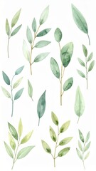 Nature Illustration, Green Leaves, Isolated Background, Digital Artwork, Botanical Design, Aesthetic Viewpoint