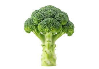 Green broccoli vegetable isolated on a transparent background