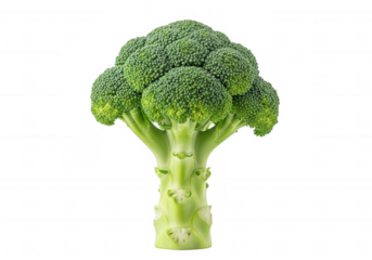 Green broccoli vegetable isolated on a transparent background
