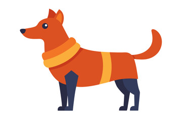 A domestic dog wearing a coat