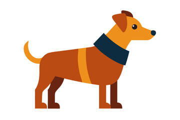 A domestic dog wearing a coat