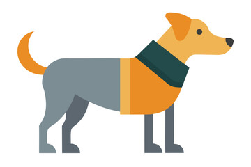 A domestic dog wearing a coat