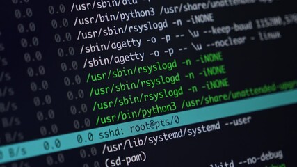 Programming code on a digital display highlights system processes and commands, illustrating advanced cybersecurity, data processing, and software development technology - Powered by Adobe