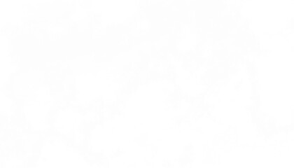 Realistic white clouds fog overlay isolated on the transparent background