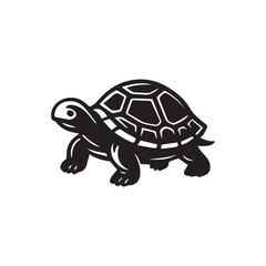 Turtle on a white background vector