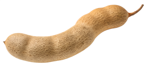 Close up of a single ripe brown tamarind pod with textured skin fruit food