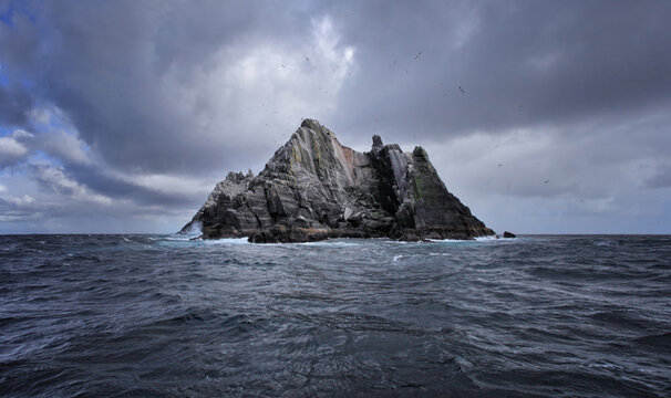 Atlantic puffin on Skellig Michael County Kerry Ireland
